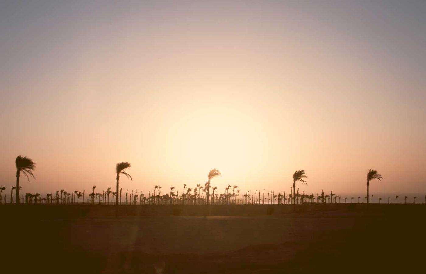 Grafieken die de missie en waarden tonen